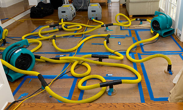 Professional Water Damage Restoration technician working in Forestville, MD